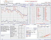 BlutdruckSMS Datenblatt